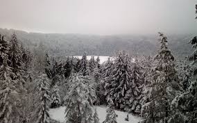 Lacul sfanta ana este situat la 28 km de baile tusnad, la o altitudine de 946 m, pe fundul craterului unui vulcan stins din masivul puciosu, locul ultimei eruotii vulcanice din lacul sfanta ana este o rezervatie naturala complexa, atat din punct de vedere geologic cat si in ceea ce priveste flora si fauna. Iarna La Lacul Sfanta Ana Bine AÅ£i Venit La BÄile Tusnad