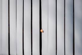 Luis Oliván Tenorio