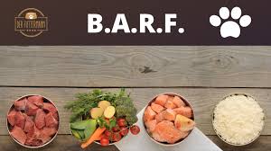 Der hund zählt zu den besten freunden des menschen und gerade deshalb möchten sie ihren schützlingen sorgfalt. Welpenfutterung Im Grossstadt Rudel Der Futtermann