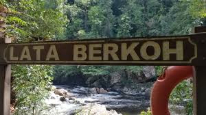 One who is fond of forest or forest scenery; Nemophilist Adalah Bali2 Hashtag On Twitter Enlaislabarmusica
