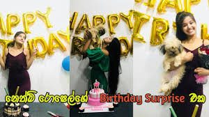 Find over 100+ of the best free photography. Nethmi Roshel S Surprise Birthday Party Download 3gp Mp4 Dan Mp3 Convert Music Video Zone Streaming