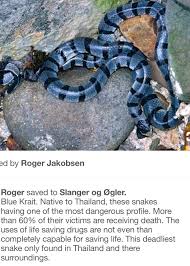 Pin By Pat T Shaver On Snakes Snake Reptiles Lizard