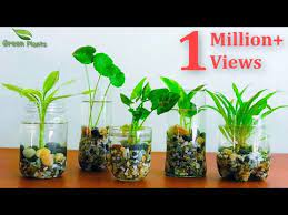 How to make an indoor water garden page: How To Make Indoor Water Garden From Recycled Materials Indoor Hydroponic Gardening Green Plants Youtube