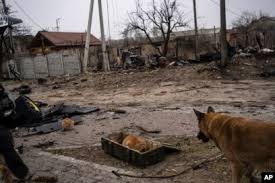 UN Rights Office Gathering Evidence of Possible War Crimes in Bucha, Ukraine