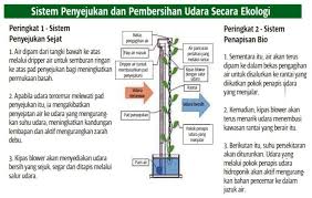 Tutorial ini mungkin tidak selengkap dengan yang ada di situs wikihow. Dinding Hijau Turunkan Suhu Persekitaran