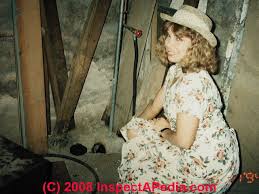 I too have a sewer smell in the basement. Sewer Or Septic Odor Gas Odor Source Table