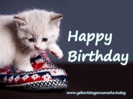 Bild Happy Birthday Mit Susser Katze Geburtstag Bilder Geburtstag Wunsche Geburtstagsbilder