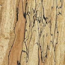 Spalted Wood Wood Burled Wood Woodworking Wood