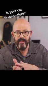 If your cat is underweight, listen up! #Cats #Underweight #Hyperthyroidism  #Hyperthyroid