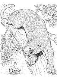 Jaguar coloring pages to print the jaguar panthera onca is a large felid species and the only extant member of the genus panthera native to the americas. Pin On Ä'á»™ng Váº­t