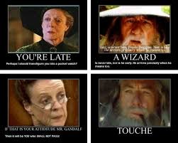 36 Harry Potter Vs Lord Of The Rings Memes That Might Start A War Harry Potter Fanfiction Harry Potter Harry Potter Pictures