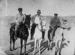 Image result for Hermbstaedtia schaeferi