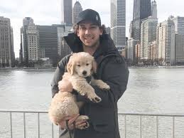 We have an extreme love for the golden retriever breed and believe the english cream golden retriever to be the perfect dog for anyone. Dylan Strome S Golden Retriever Puppy Kept Him Sane During Coronavirus Pandemic Chicago Sun Times