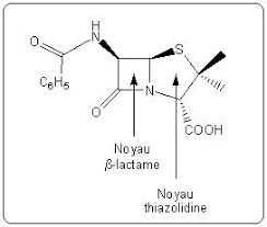 Définition, synonymes, citations, traduction dans le dictionnaire de la langue française. La Penicilline I Decouverte D Un Antibiotique Culturesciences Chimie