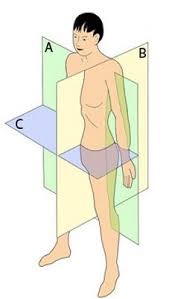 Pin On Study Sites