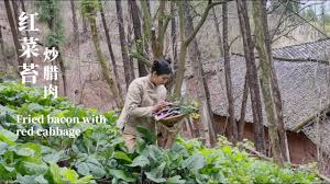 cooking traditional food and fried bacon with red cabbage dried rice in my homeland 李樟柳lizhangliu youtube red cabbage traditional food cabbage