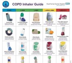 Blue asthma inhaler stock images image 6238434 colored light. Inhaler Colors Chart Uk Pantone Colour Guide The Printed Bag Shop Pantone Numbers You Can Download Our Colourcharts Below Cang Naiy