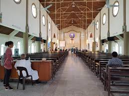7:00 am english english en immaculate conception 9:00 am english english en immaculate conception 9:00 am english english en mission of the sacred heart in livingston 11:00 am english english en immaculate conception 6:00 pm english english en immaculate conception Shenyang Beating Our Tracks