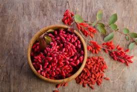 goji berry nedir goji berry faydalari zararlari nelerdir goji berries healthy fruits and vegetables goji berries benefits