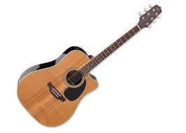 Amazon.com: Takamine EF360SC-TT Dreadnought Acoustic-Electric Guitar -  Natural : Musical Instruments