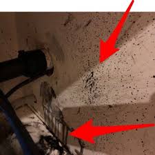 (probably another plumber mike diamond somewhere in the us if there are at least two mike this is not the first complaint i've heard about mike diamond plumbing. Mike Diamond Services 38 Photos 394 Reviews Plumbing Orange Ca Phone Number
