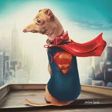 Tuna Melts My Heart The Underdog With The Overbite Tunameltsmyheart Dog Dog Education Puppy Click On The Link Below To Educate Your Dogs Easily Chiweenie Your Dog Puppies