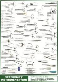 Instrument Poster General Surgical Vet Tech Surgery Veterinary Tech Vet Medicine Vet Tech Humor