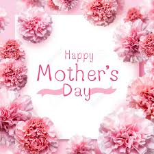 Mothers day is a prestigious day celebrated to pay honor and gratitude to all the mothers share happy mother's day messages 2021. Happy Mother S Day Message On Pink Carnation Flowers Background Stock Photo Picture And Royalty Free Image Image 77680081