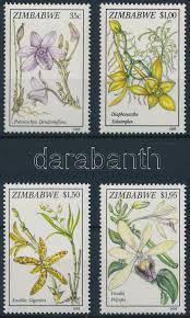 Image result for Diaphananthe subsimplex