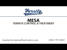 Hire the best pest control services in mesa, az on homeadvisor. Termite Control Phoenix Mesa And Scottsdale Az