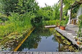 30 Fascinating Backyard Swimming Ponds Ideas Natural Swimming Ponds Natural Pond Swimming Pond