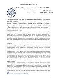 Image result for Lannea antiscorbutica