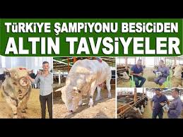 Bartin Bolu Hayvan Pazari Sultan Pazari Youtube