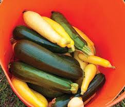 The state's largest city, it lies just south of vancouver, washington, on the portland attracted a large population of chinese immigrants. August Garden Calendar Osu Extension Service