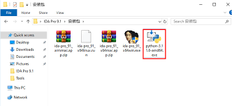 IDA Pro 9.1 安装教程| S4lix's Blog