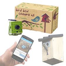 Discounted Green Feathers Wifi Bird Box Camera Hd With Ir Microsd Recording Camera Cameras Gr Box Camera Best Security Cameras Security Cameras For Home