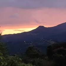 We've organized the santa fe real estate charts below based on our findings from over 11,000 properties for sale in panama. Help Us Grow Our Organic And Permaculture Finca In Santa Fe Panama