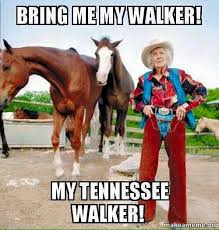 Bring Me My Walker Funny Horse Memes Funny Horse Pictures Funny Horses