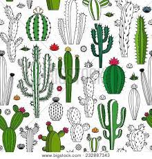 Well draining soil soil ph: Vector Home Happy Cactus Icons Different Types Of Cactus Plants In Flowerpots Poster Id 232887343