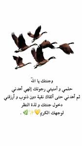 يارب يارب Arabic Memes Islamic Pictures Islamic Quotes