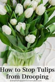 As soon as you get home place the tulips in a jug of water, or sink full of water, as soon as you get home. How To Keep Tulips From Drooping Tulips Tulips In Vase Flowers Last Longer