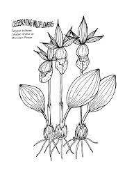 You can use our amazing online tool to color and edit the following orchid coloring pages. Top 20 Printable Orchid Coloring Pages Online Coloring Pages