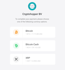 Buying bitcoin with no id usually has very high fees. How To Pay With Bitpay Cryptohopper Documentation