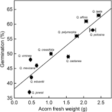 Acorn Weight As Determinant Of Germination In Red And White