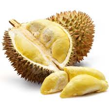 Check spelling or type a new query. Anda Peminat Buah Buahan Tempatan Seperti Rambutan Durian Dan Lln Toluna