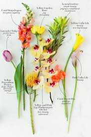 Pin On Fleurs