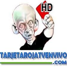 ¿querés saber cuáles son los partidos de hoy televisados? Partidos De Hoy Deportestvhoy Perfil Pinterest