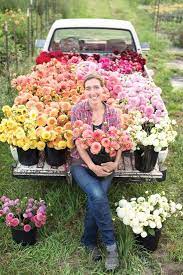 Pin On Heirloom Gardening Techniques
