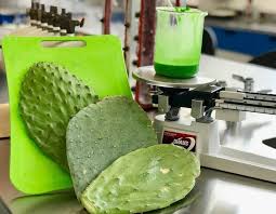 It is also a anti inflammatory and is shown in studies to oxide fat. This Non Toxic Compostable Plastic Is Made From Cactus Juice Intelligent Living