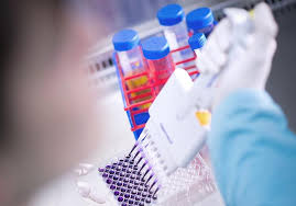 Devis fiable et respecté et intervention. Valneva Initie Une Etude Clinique De Phase 3 Pour Son Candidat Vaccin Inactive Et Adjuvante Contre